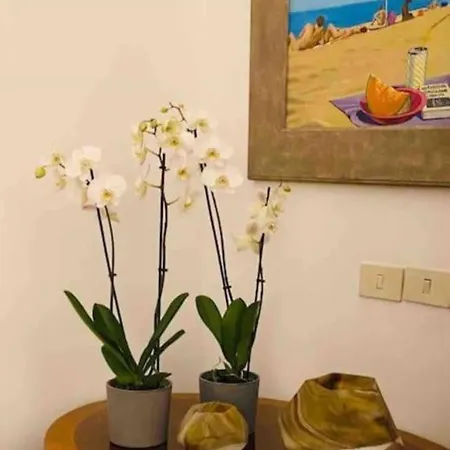 Appartamento Loft Ingresso Independente Zona San Lorenzo Roma